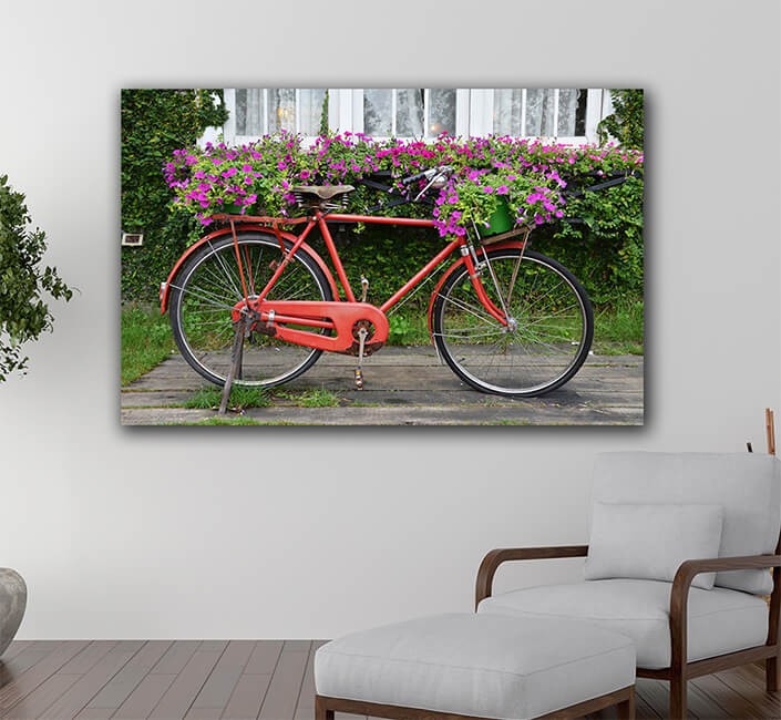 WEB005 0022 ML 0051 22598886 bicycle is red with the small basket AOAY7054