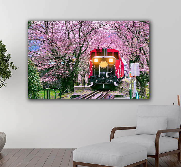 WEB005 0039 ML 0034 30238786 romantic train runs through tunnel of cherry blossoms in kyoto japan AOAY6464