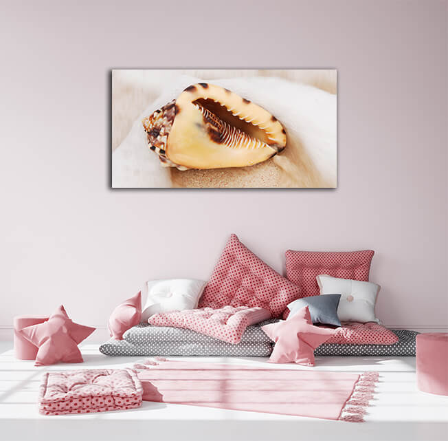 WEB006 0025 MP 0031 7160752 shell 003 AOAY6662