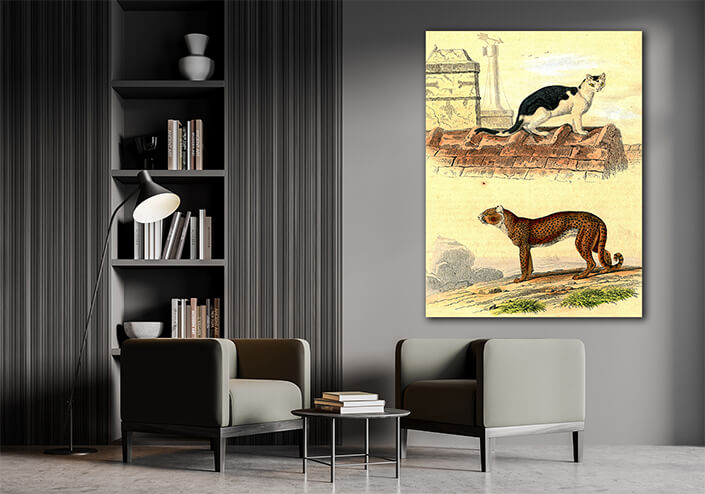 WEB002 0011 MP 0021 28188990 domestic cat cheetah vintage engraving AOAY7018