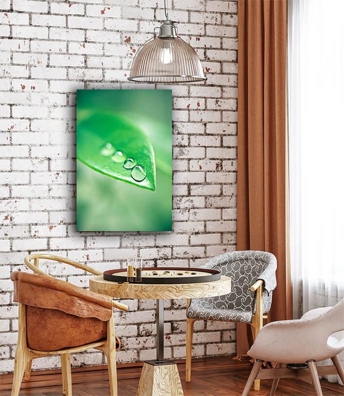 WEB002 0015 MP 0010 48766270 the morning dew settling on the plants closeup shot of water droplets on a leaf AOAY6534