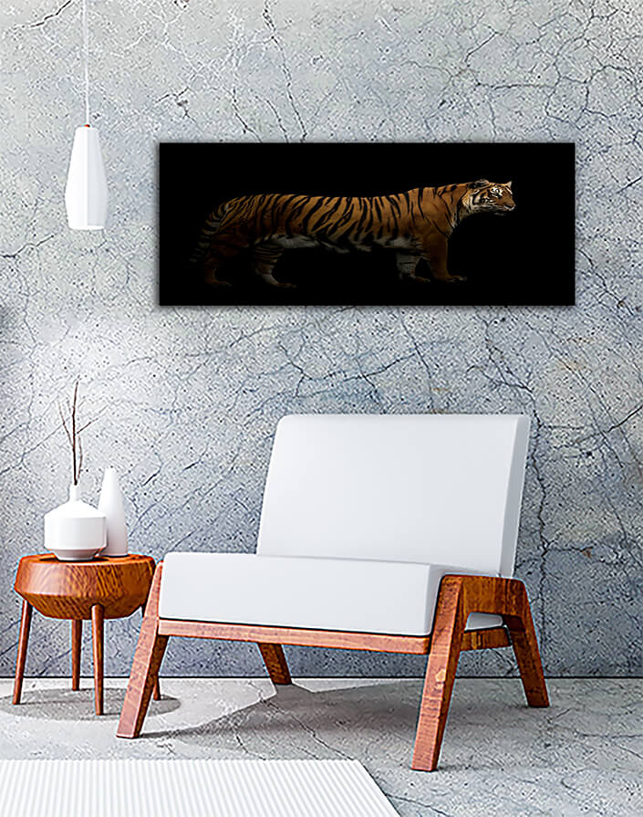 WEB002_0024_MP__0000_27803420_bengal tiger in the dark AOAY6817