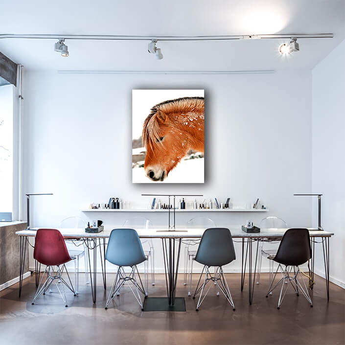 WEB002 0034 MP 0066 1554112 Ready horse Art AOAY8171