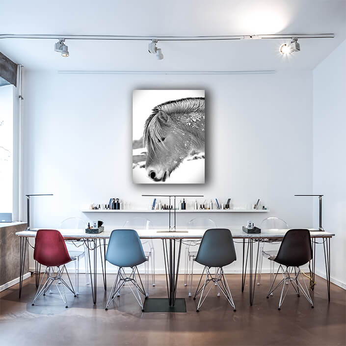 WEB002 0036 MP 0064 1554112 Ready horse Art AOAY8170