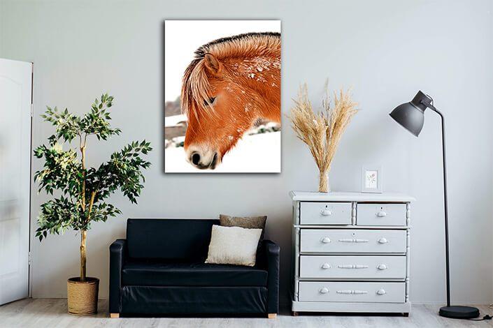 WEB002 0037 MP 0066 1554112 Ready horse Art AOAY8171
