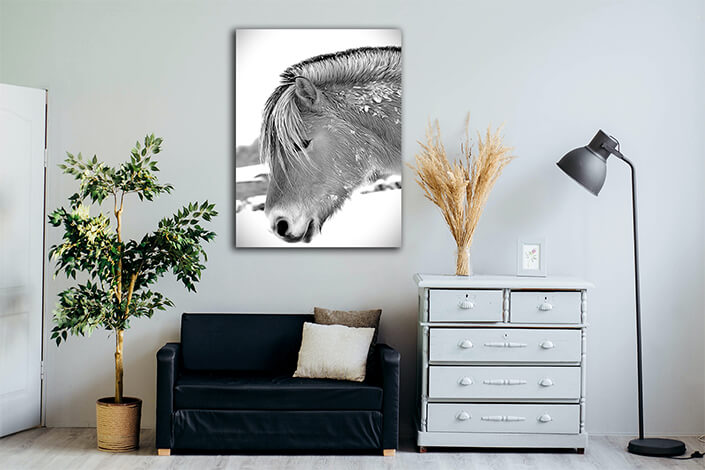 WEB002 0039 MP 0064 1554112 Ready horse Art AOAY8170
