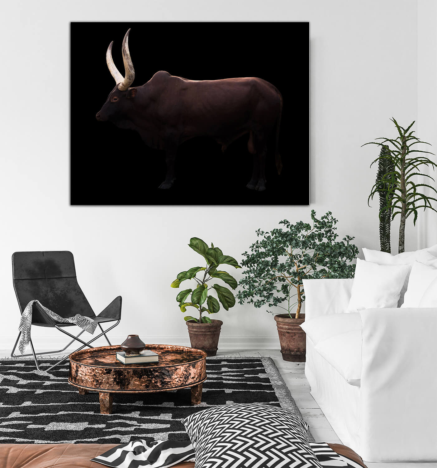 WEB003 0003 MP 0021 28633180 male ankole watusi in dark background AOAY6453