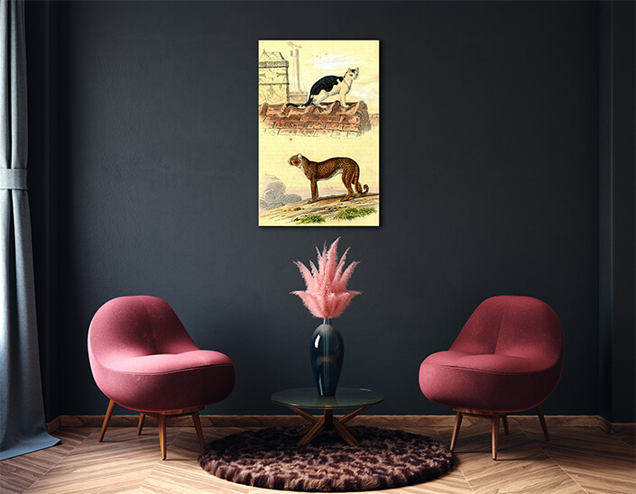 WEB003 0011 MP 0021 28188990 domestic cat cheetah vintage engraving AOAY7018