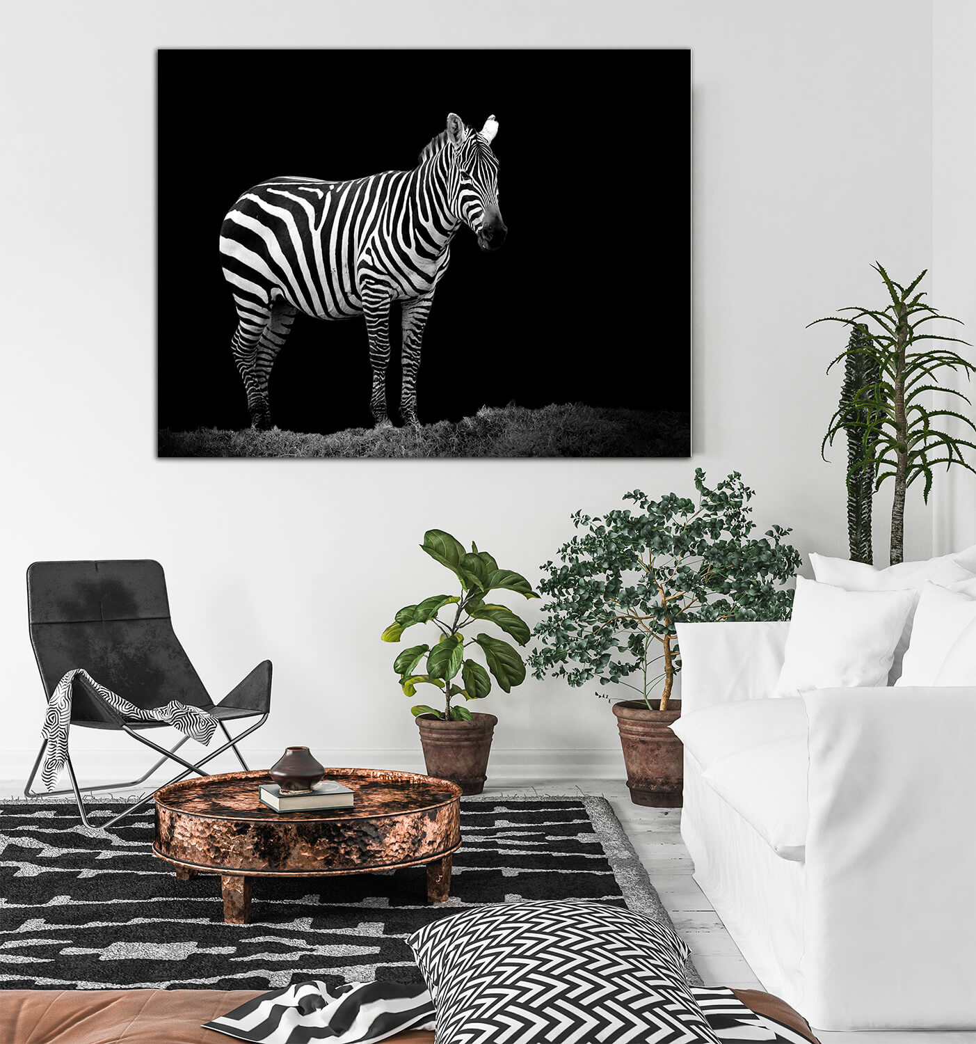 WEB003 0015 MP 0009 22503898 zebra on dark background AOAY5522