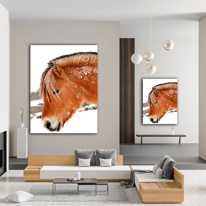 WEB003 0039 MP 0066 1554112 Ready horse Art AOAY8171