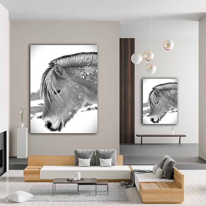 WEB003 0041 MP 0064 1554112 Ready horse Art AOAY8170