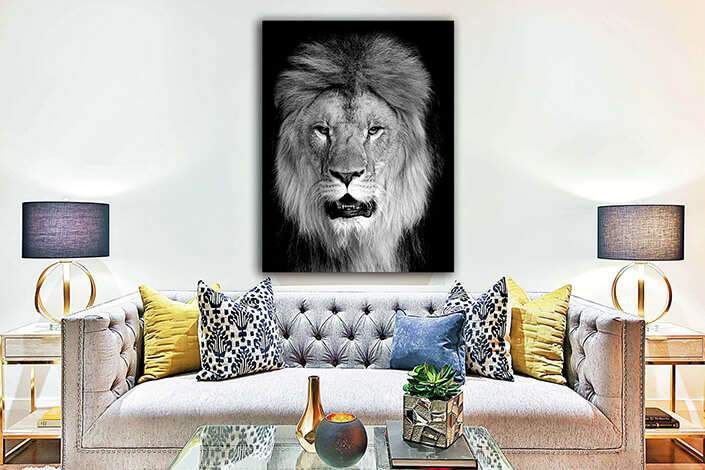 WEB003 0052 MP 0023 22503926 lion on dark background AOAY8133