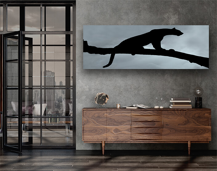 WEB004 0006 ML 0005 39394922 silhouette of a leopard in a tree AOAY4736