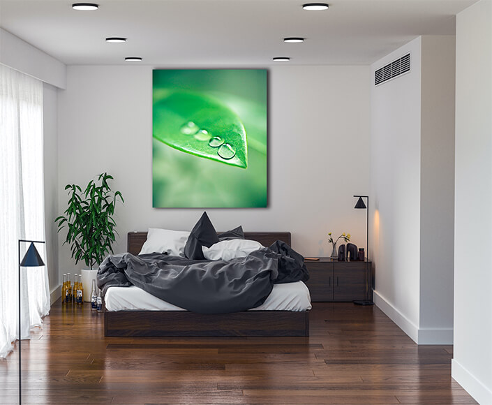 WEB004 0010 MP 0010 48766270 the morning dew settling on the plants closeup shot of water droplets on a leaf AOAY6534