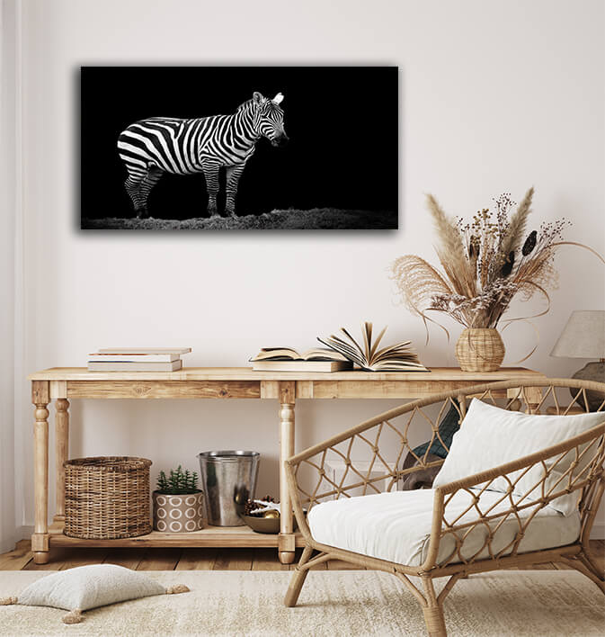 WEB005 0014 MP 0009 22503898 zebra on dark background AOAY5522