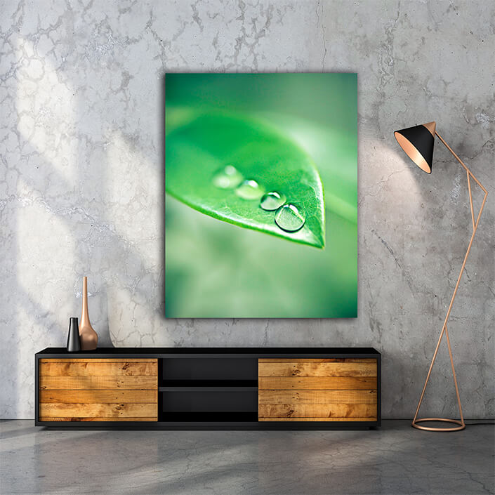 WEB005 0018 MP 0010 48766270 the morning dew settling on the plants closeup shot of water droplets on a leaf AOAY6534