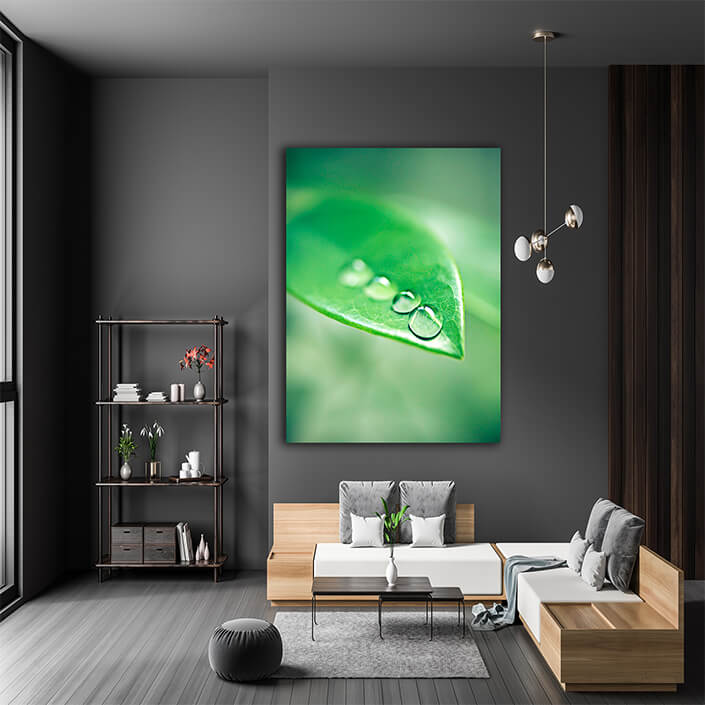 WEB006 0011 MP 0010 48766270 the morning dew settling on the plants closeup shot of water droplets on a leaf AOAY6534