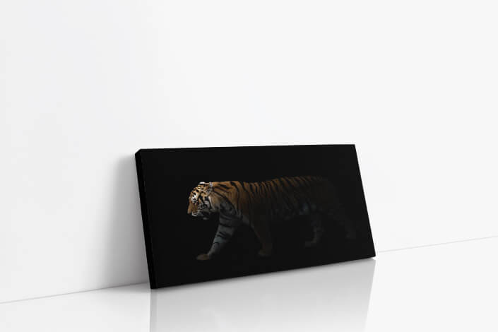 WEB006_0026_MP__0029_27815348_male siberian tiger in the dark AOAY6825