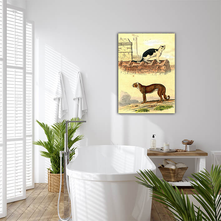 WEB007 0011 MP 0021 28188990 domestic cat cheetah vintage engraving AOAY7018