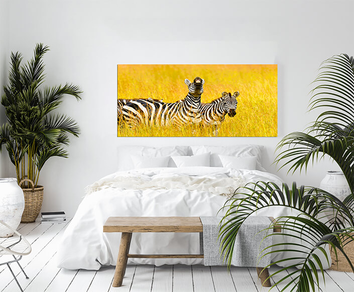 WEB001 0004 MOCKUP 0031 22675738 zebra AOAY5576