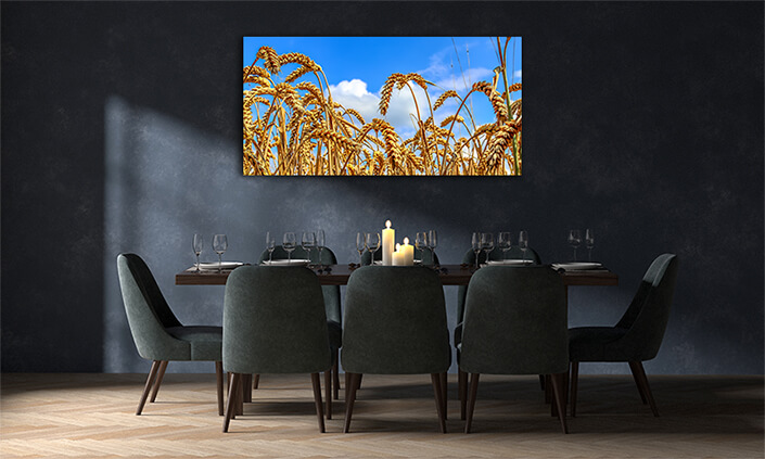 WEB001 0013 MOCKUP 0013 30831812 beautiful panorama of agricultural crop and wheat fields AOAY7712