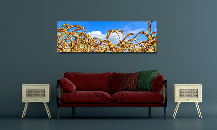 WEB001 0015 MOCKUP 0013 30831812 beautiful panorama of agricultural crop and wheat fields AOAY7712