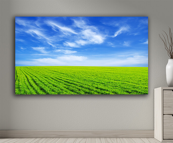 WEB001 0016 MOCKUP 0049 5729188 field AOAY7658