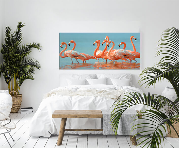 WEB001 0029 MOCKUP 0005 9072288 greater flamingos AOAY4623