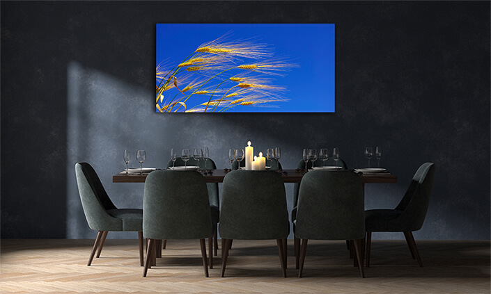 WEB001 0033 MOCKUP 0048 5729210 wheat ears AOAY7659