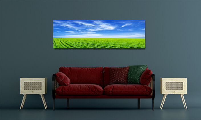 WEB001 0034 MOCKUP 0049 5729188 field AOAY7658