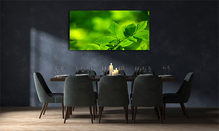 WEB001 0035 MOCKUP 0046 5729308 Nice green leaves AOAY7661