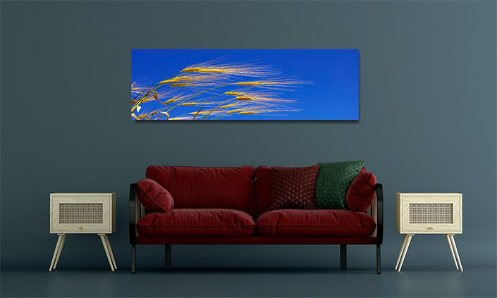 WEB001 0035 MOCKUP 0048 5729210 wheat ears AOAY7659