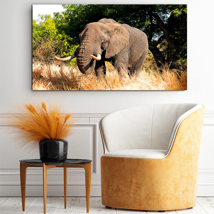 WEB001_0035_MOCKUP__0035_39404560_african bull elephant kruger national park AOAY4739