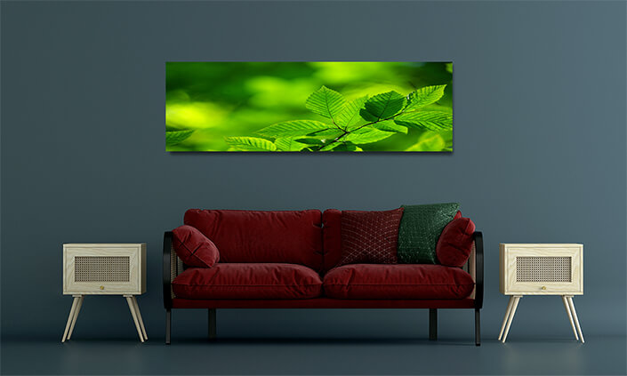 WEB001 0037 MOCKUP 0046 5729308 Nice green leaves AOAY7661