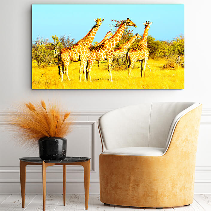 WEB001_0037_MOCKUP__0033_39409108_giraffes-in-natural-habitat-etosha-national-park AOAY4741