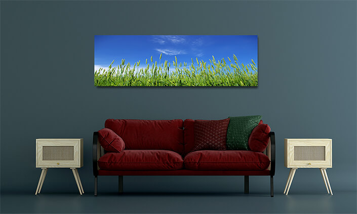 WEB001 0038 MOCKUP 0045 5729322 wheat field AOAY7662