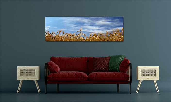 WEB001 0039 MOCKUP 0044 5729326 wheat ears AOAY7663