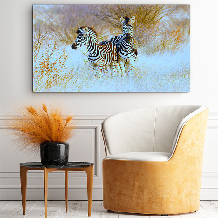 WEB001 0039 MOCKUP 0031 45297398 plains zebras in natural habitat AOAY4761