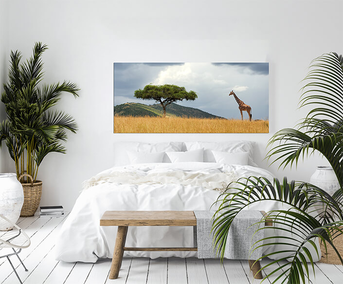 WEB001_0041_MOCKUP__0044_22505236_landscape with tree in Africa (1) AOAY5541