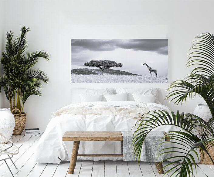 WEB001 0042 MOCKUP 0043 22505236 landscape with tree in Africa AOAY8838