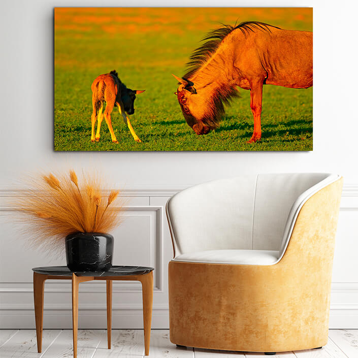 WEB001_0045_MOCKUP__0025_45478590_wildebeest-with-young-calf AOAY4765