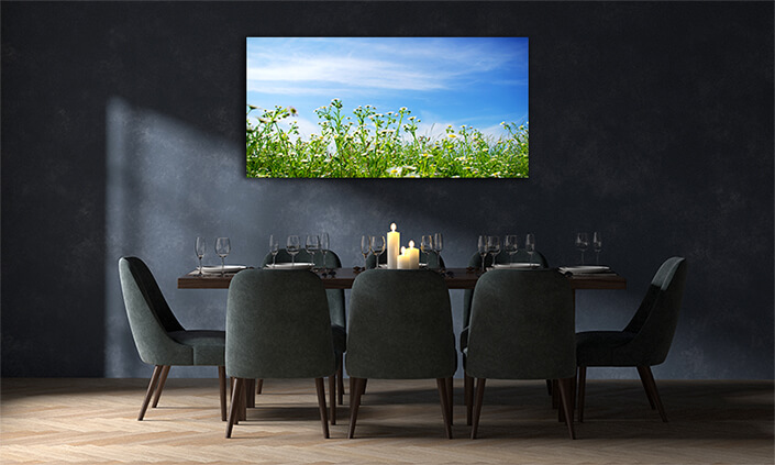 WEB001 0047 MOCKUP 0034 5751212 camomiles field AOAY7673