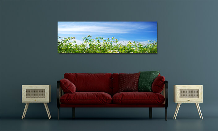 WEB001 0049 MOCKUP 0034 5751212 camomiles field AOAY7673