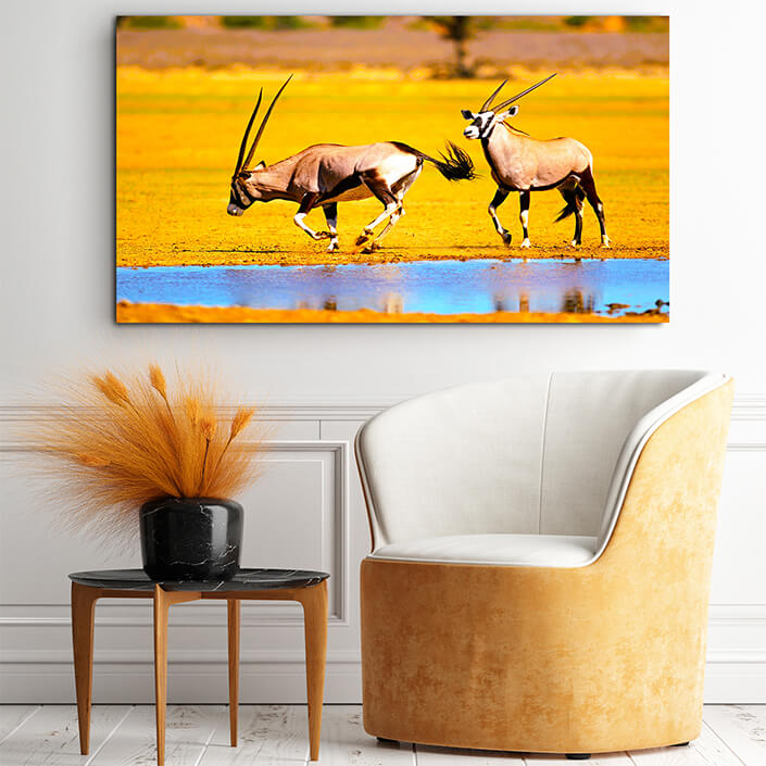 WEB001 0050 MOCKUP 0019 47035246 gemsbok antelopes at a waterhole AOAY4786
