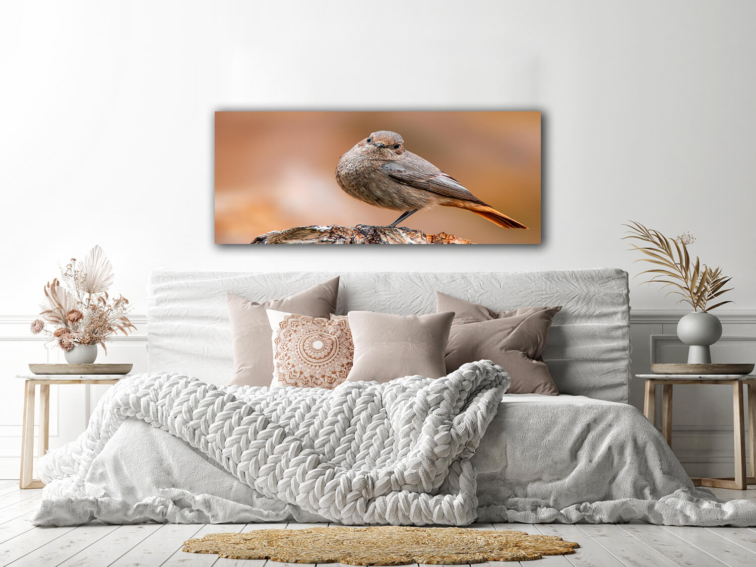 WEB001_0073_MOCKUPs_0044_36201828_beautiful colorful bird sits and looks AOAY6006
