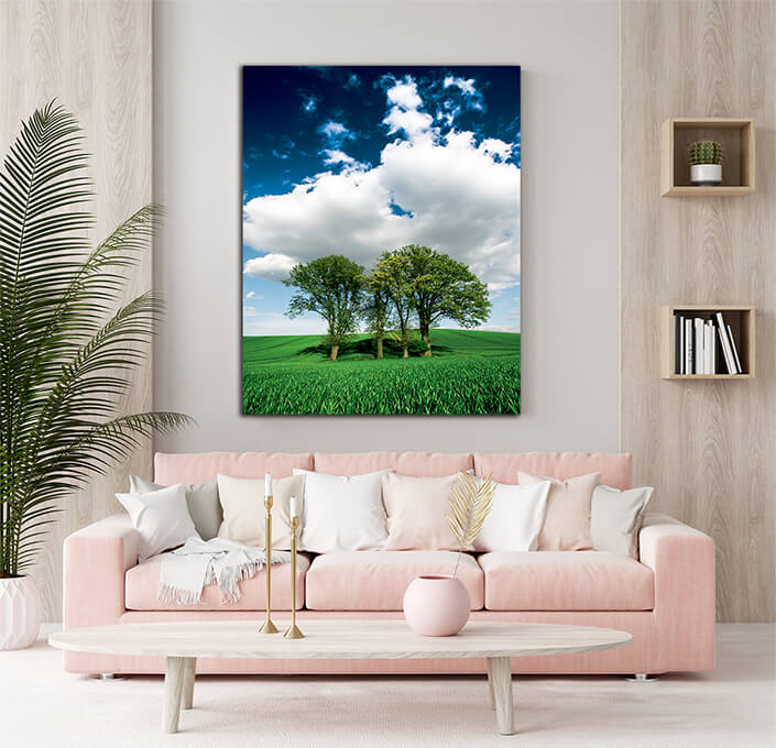 WEB002. 0009 MP 0017 26872710 trees over the grain field AOAY6424