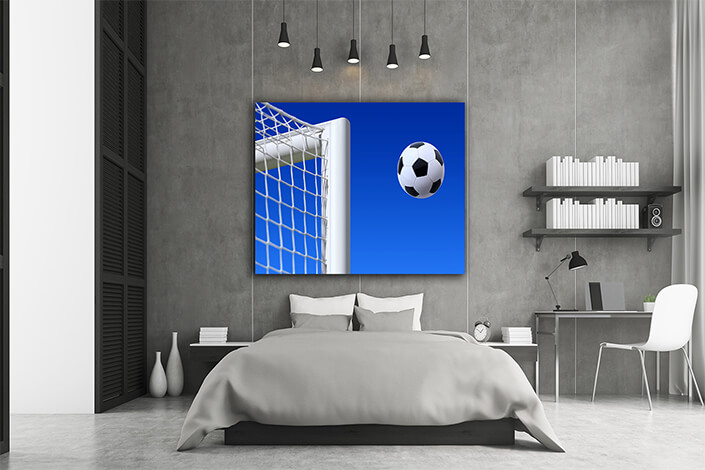 WEB002 0001 MS 0022 2830077 goal AND ball AOAY5086