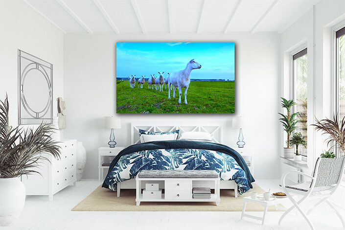 WEB002 0002 ML 0034 8744630 herd of sheep over blue sky AOAY7453