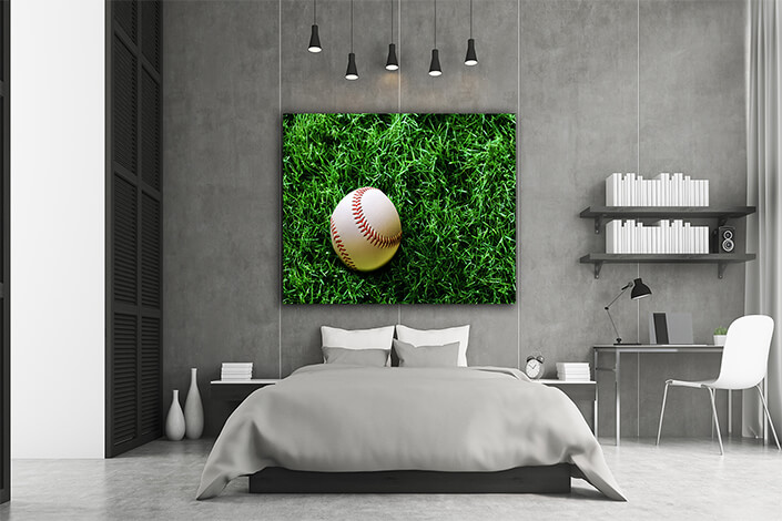 WEB002 0003 MS 0020 2903709 baseball on grass AOAY5098