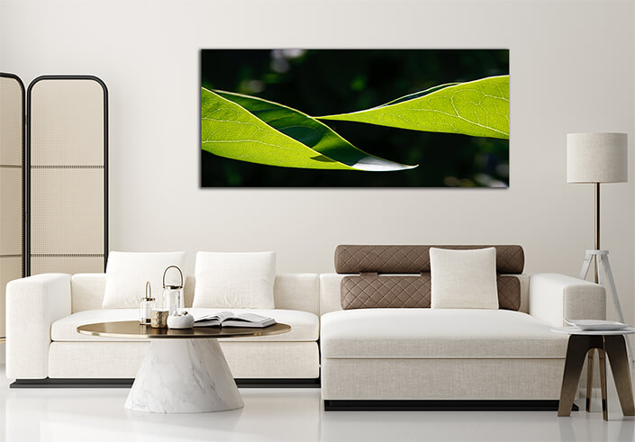 WEB002 0005 MP 0067 1959813 two leaves AOAY6345